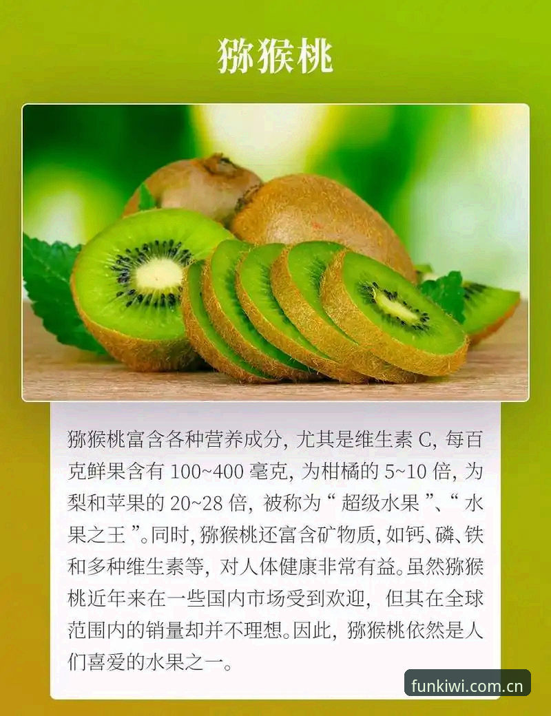 奇异果安卓版怎么样 奇异果安卓版实用指南:从下载到畅玩的完整经验分享