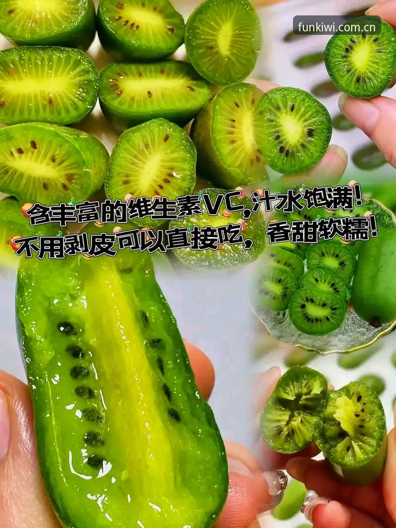 奇异果娱乐注册使用技巧全面评测：从新手到高手的进阶指南